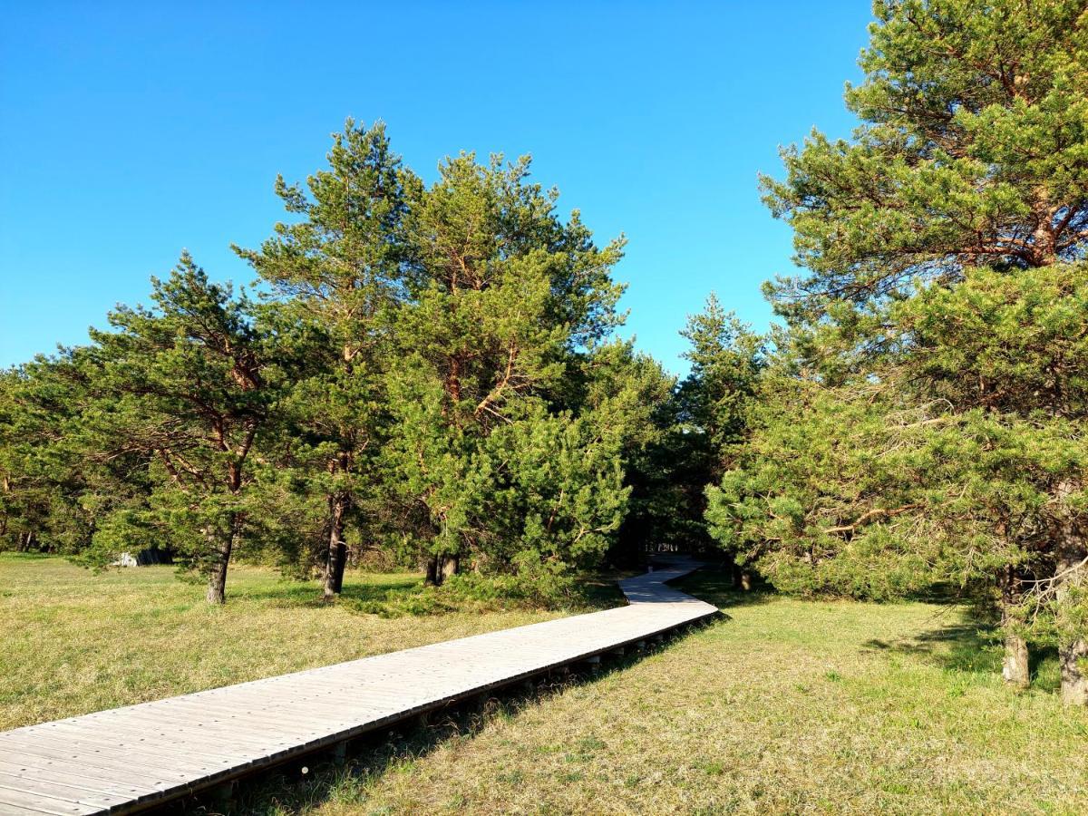Juras Dzintars Villa Ainazi Bagian luar foto