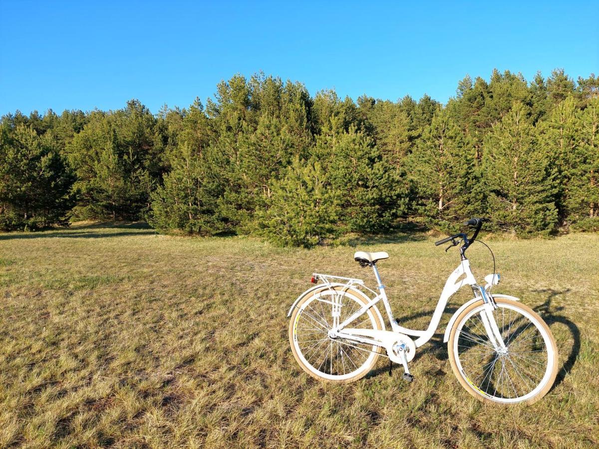 Juras Dzintars Villa Ainazi Bagian luar foto